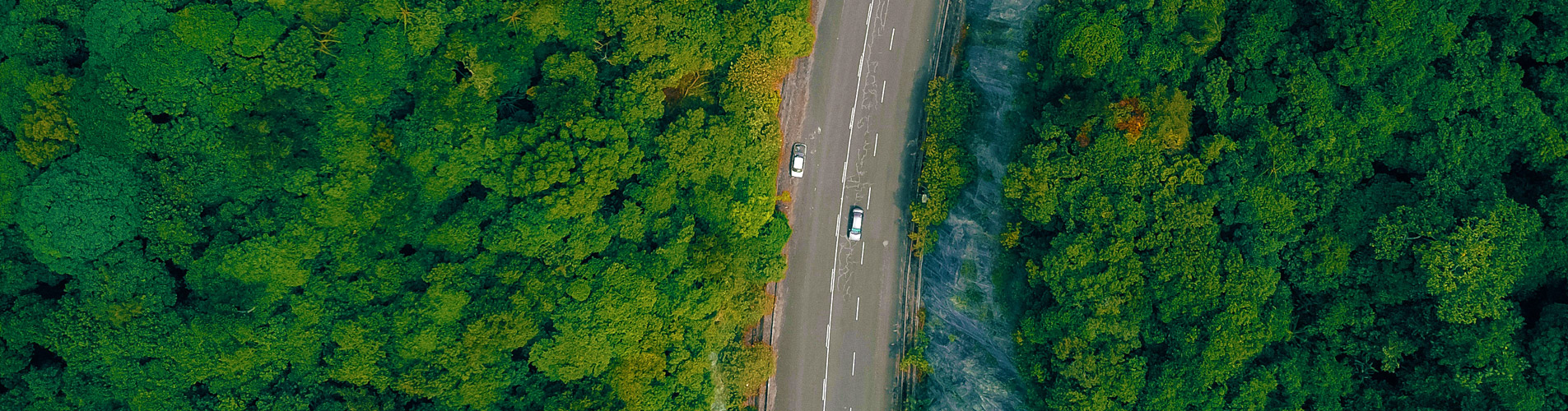 Kranichwiesen Wildnisschule