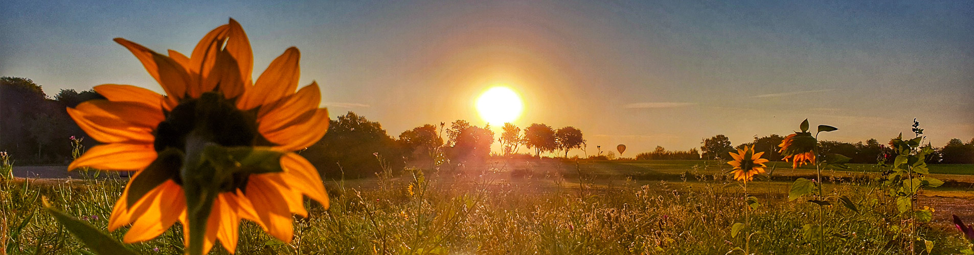 Kranichwiesen Wildnisschule